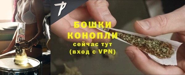 гидра Белокуриха