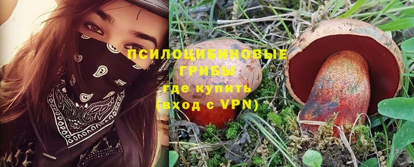экстази Арсеньев