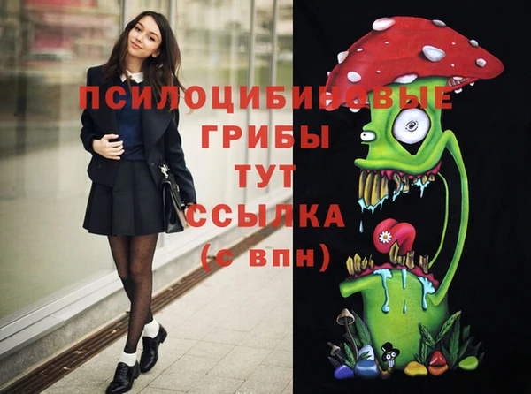 мет Аркадак