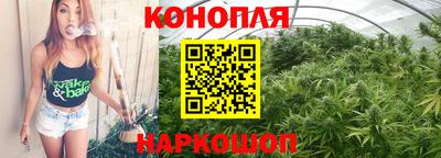 сатива Заволжье