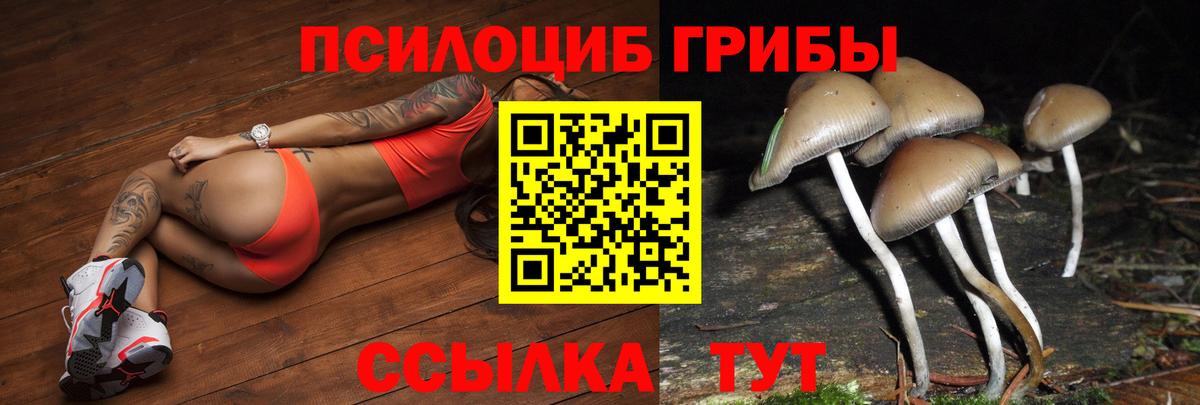Галлюциногенные грибы мицелий  Вход с VPN  Октябрьский 